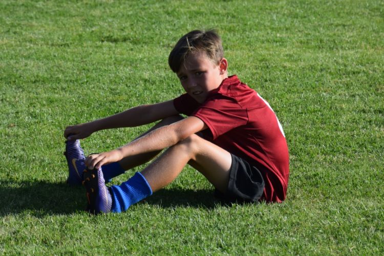 Bewegungslehre/Motorik Bewegungslehre/Motorik